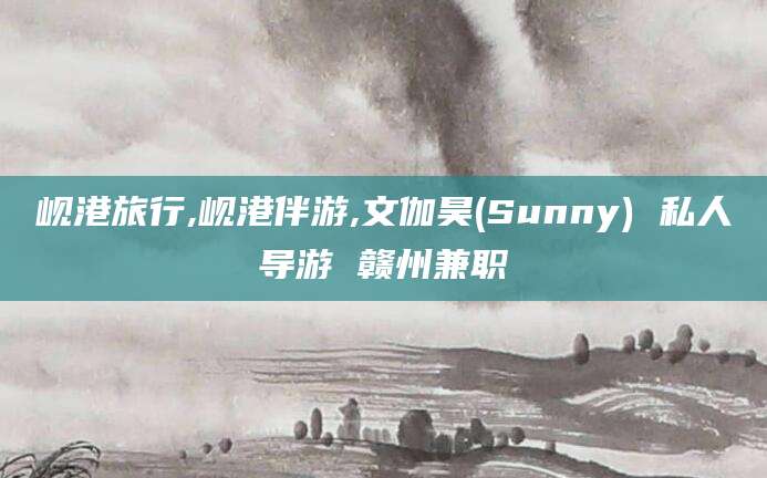 山西岘港旅行,岘港伴游,文伽昊(Sunny) 私人导游 赣州兼职